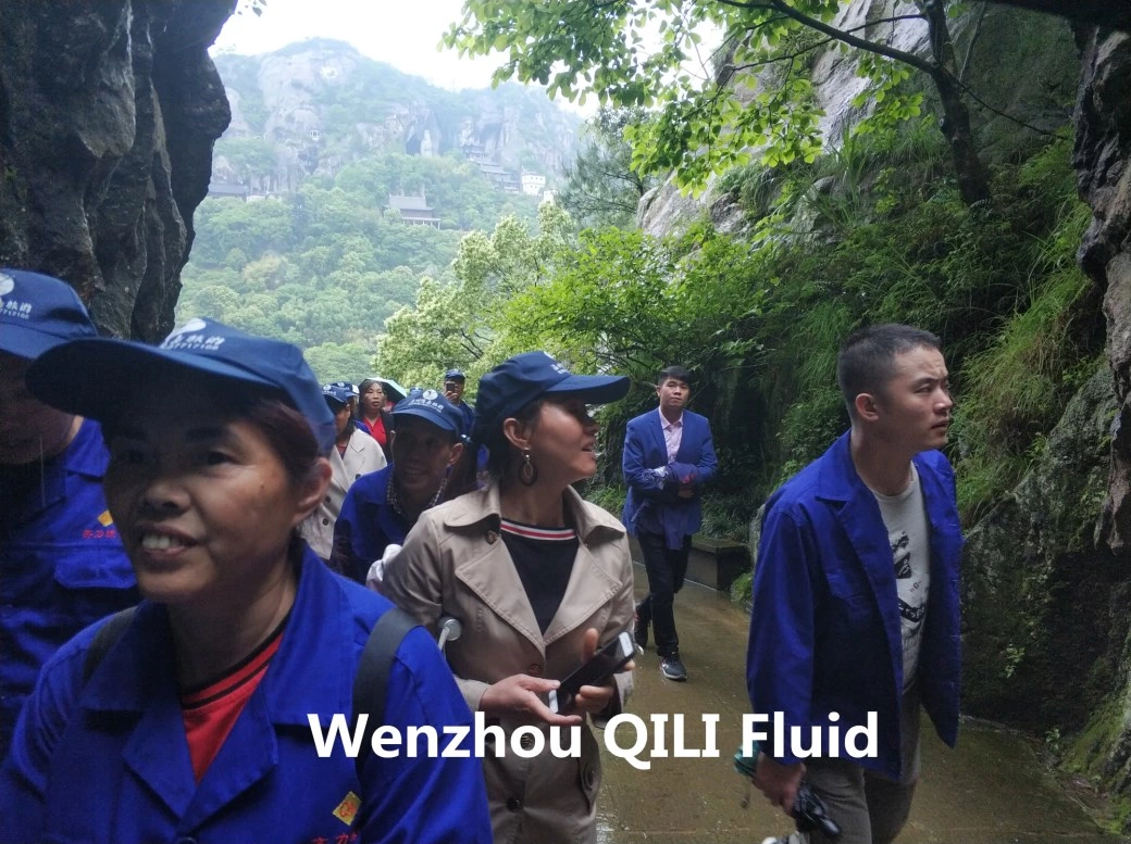 QILI TEAM SPRING OUTING!