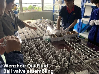 Large size 6 inch! Sanitary Encapsulated 3PCS Ball Valve Coming