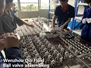 Large size 6 inch! Sanitary Encapsulated 3PCS Ball Valve Coming