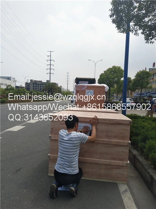 Qili Shipment UK (3).jpg