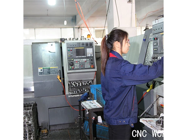 Qili Workshop