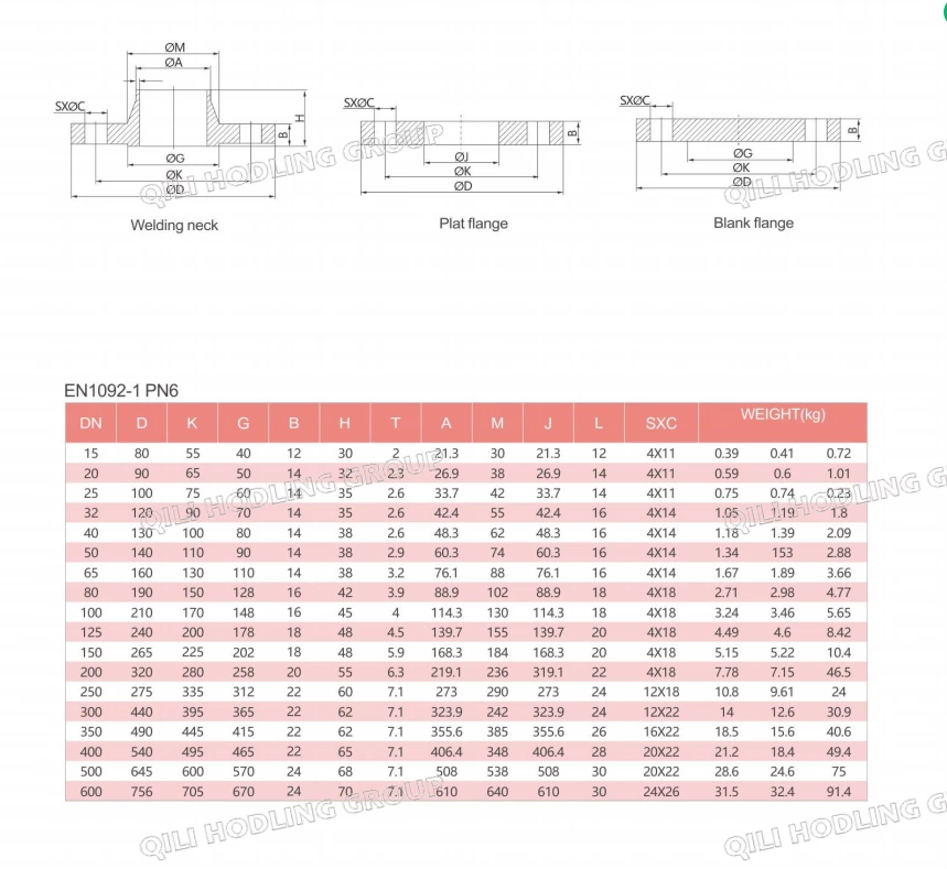 Forged Stainless Steel Plate Flange
