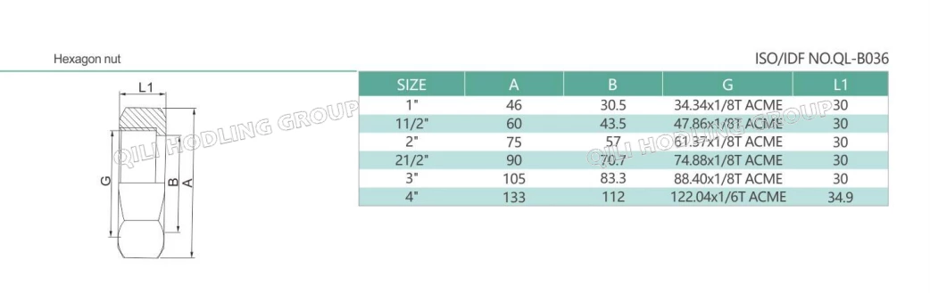 Sanitary Stainless Steel IDF HEX NUT