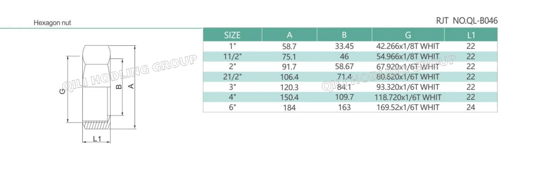 Sanitary Stainlerr Steel RJT Hex Nut 13H