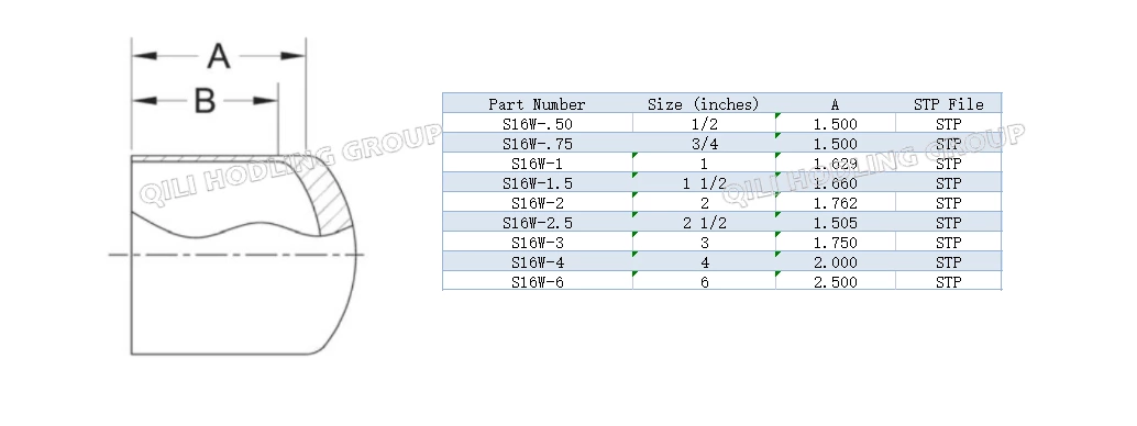 ASME BPE fittings S16W LONG TANGENT WELD CAP