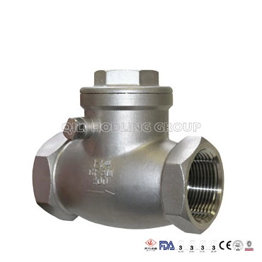 Stainless Steel Swing Female Check Valve