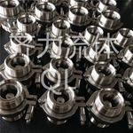 304 316L Stainless Steel Sanitary Thread Check Valve
