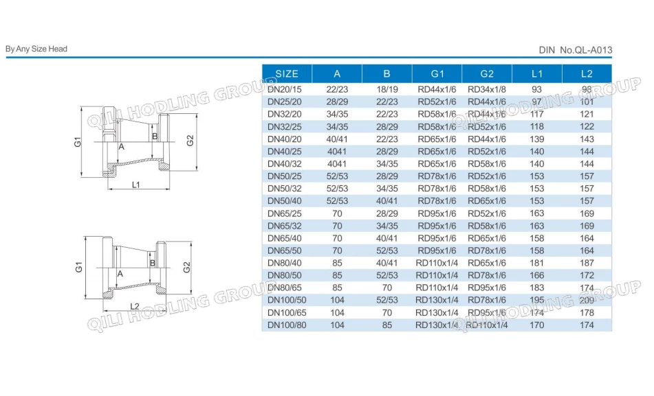 DIN 11851 liner reducer
