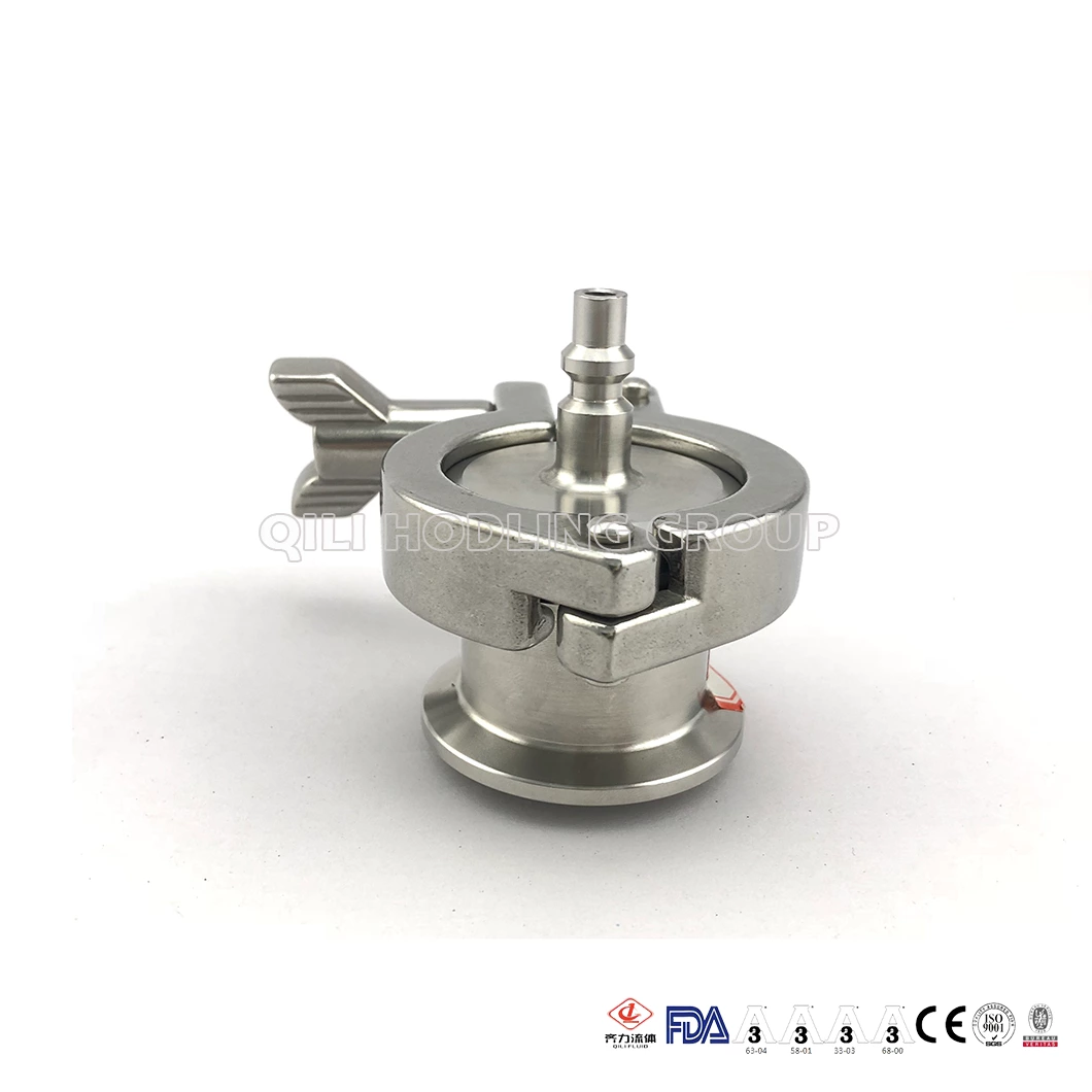 Stainless Steel Air Blow Check Valve